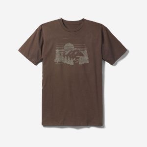 Футболка Eddie Bauer Men Graphic Sunset BROWN